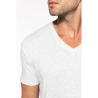 T-shirt Bio150 col V homme