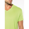 T-shirt Bio150IC col V homme