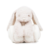 Peluche Lapin & couverture