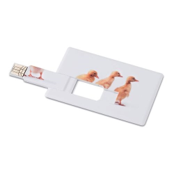 Creditcard  USB flash 16GB MEMORAMA