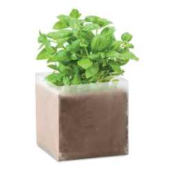 Substrat avec graines Basilic  BASIL