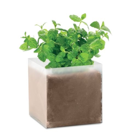 Substrat avec graines Menthe MINT