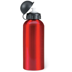 Bouteille en alu  600 ml BISCING