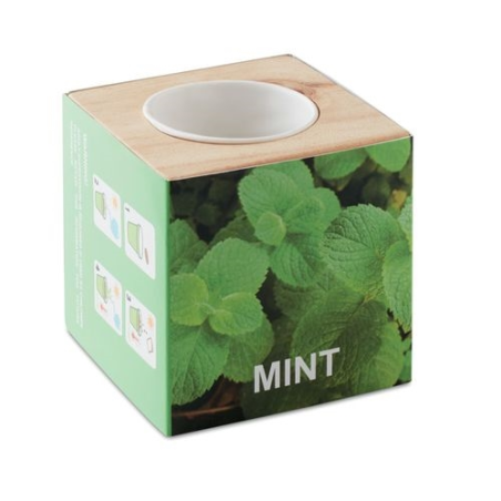 Pot en  avec graine Menthe MENTA