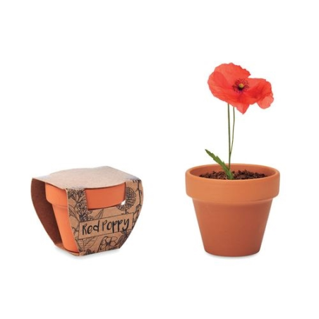 Pot graines de coquelicot RED POPPY