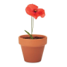 Pot graines de coquelicot RED POPPY