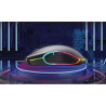 Souris gaming RGB