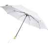 Parapluie 21" pliable windproof en PET recyclé Birgit