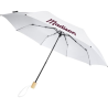 Parapluie 21" pliable windproof en PET recyclé Birgit