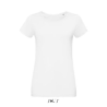 MARTIN WOMEN TEE-SHIRT JERSEY COL ROND AJUSTÉ FEMME