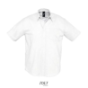 BRISBANE CHEMISE HOMME OXFORD MANCHES COURTES