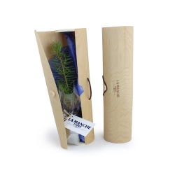 Plant d'arbre tube bois - Feuillus