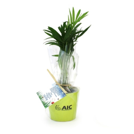 Plante pot céramique Ø7 cm