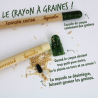 Crayon à graines