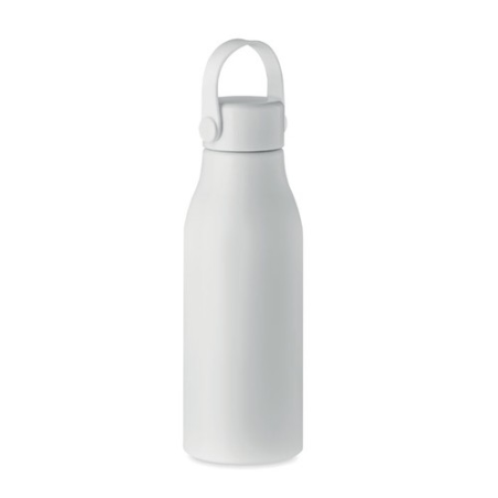 Bouteille en aluminium 650ml NAIDON