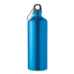 Bouteille en aluminium 1L MOSS LARGE