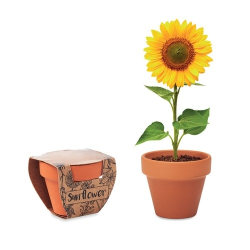 Pot graines de tournesol SUNFLOWER