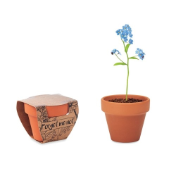 Pot graines de myosotis FORGET ME NOT