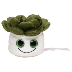 Peluche succulent