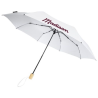 Parapluie 21" pliable windproof en PET recyclé Birgit