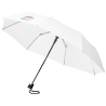 Parapluie 21" pliable à ouverture automatique Wali