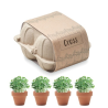 Kit de culture de cresson CRESS